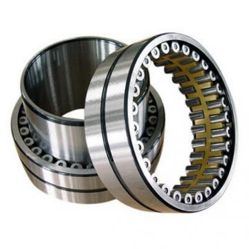 SL04160-PP-2NR Double Row Cylindrical Roller Bearing 160x220x80mm