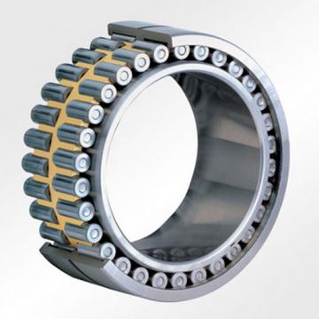 SL05016E Double Row Cylindrical Roller Bearing 80x120x45mm