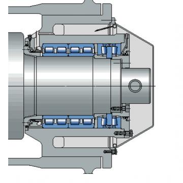 4062-2RS / 4.062-2RS Combined Roller Bearing 60*123*72.3mm