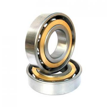  NJ 203 ECP/C3 Cylindrical Roller Bearing, Single Row, Removable Inner Ring,