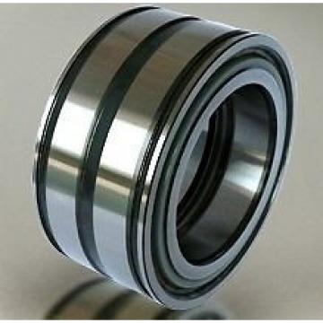 SL045018PP Sheave Bearing 2 Rows Full Complement Bearings