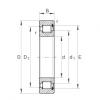 FAG Cylindrical roller bearings - SL182217