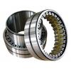 SL05040E C3 Double Row Cylindrical Roller Bearing 200x310x115mm