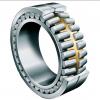 NUP313-4NS02C3 5G354920Q Cylindrical Roller Bearing 65x150x33mm #4 small image