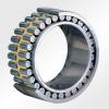 NU1020ECM/C4VL2071 Insocoat Roller Bearing / Insulated Bearing 100x150x24mm