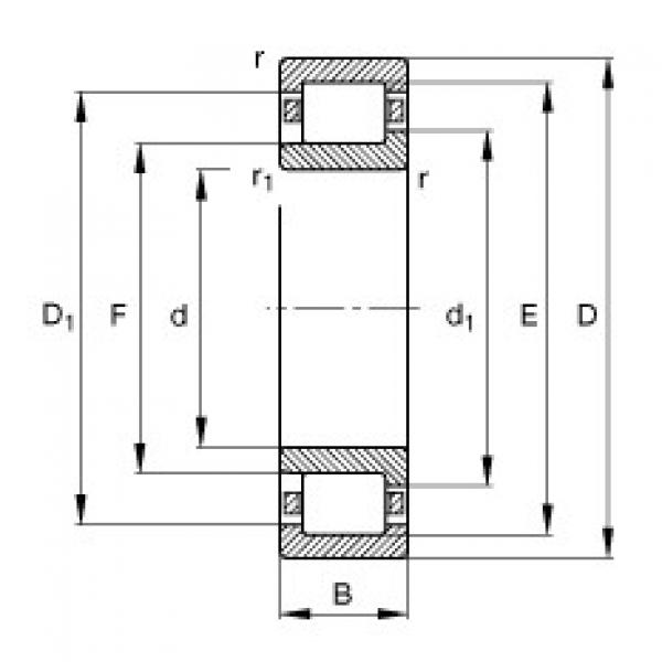 FAG Cylindrical roller bearings - NJ203-E-XL-TVP2 #1 image