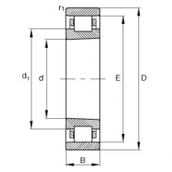 FAG Cylindrical roller bearings - N1013-K-M1-SP #1 image