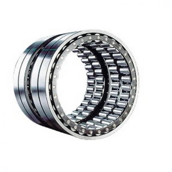 NU310ECM/C3VL0271 Insocoat Roller Bearing / Insulated Bearing 50*110*27mm #1 image