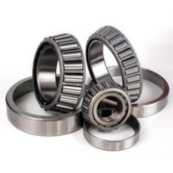 NJ2315EM Cylindrical Roller Bearing 75x160x55mm #1 image